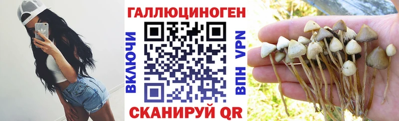 KRAKEN ONION  Карабулак  Галлюциногенные грибы GOLDEN TEACHER 