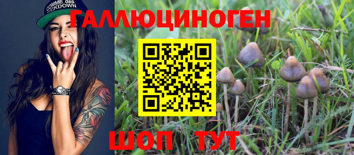 Карабулак  Псилоцибиновые грибы ЛСД  Псилоцибиновые грибы прущие грибы  Вход с VPN 