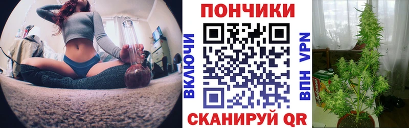 Каннабис MAZAR Карабулак